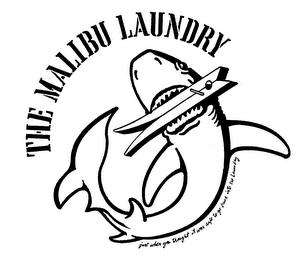 THE MALIBU LAUNDRY JUST WHEN YOU THOUGHT IT WAS SAFE TO GO BACK INTO THE LAUNDRY