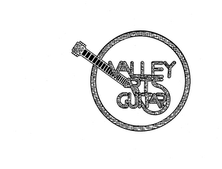VALLEY ARTS GUITAR