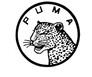 PUMA