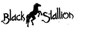 BLACK STALLION