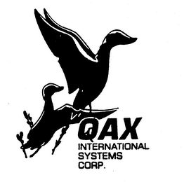 QAX INTERNATIONAL SYSTEMS CORP.