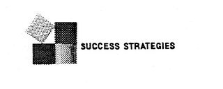 SUCCESS STRATEGIES