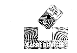 CARRE DE VIGNE