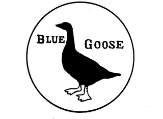 BLUE GOOSE