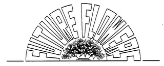 FUTURE FLOWERS trademark