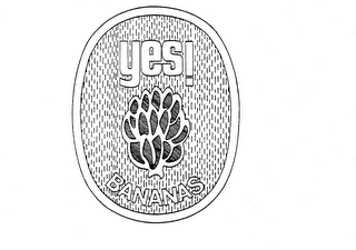YES! BANANAS trademark