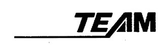 TEAM trademark