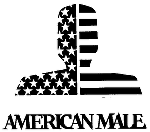 AMERICAN MALE