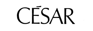 CESAR trademark