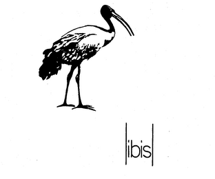 IBIS