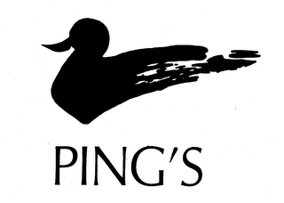 PING'S