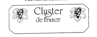 CLUSTER DE FRANCE