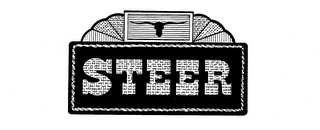 STEER