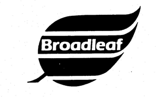 BROADLEAF