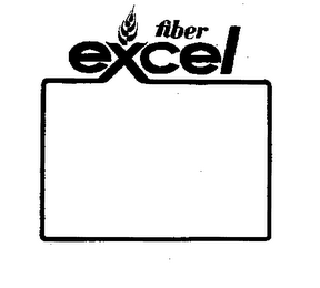 FIBER EXCEL