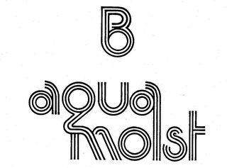 B AQUA MOIST trademark