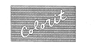 COLORIT trademark