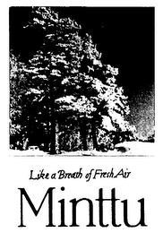 LIKE A BREATH OF FRESH AIR MINTTU