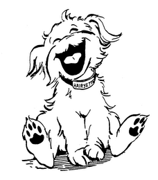 HAIRYETTE trademark