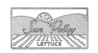 SUN VALLEY LETTUCE