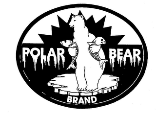 POLAR BEAR BRAND