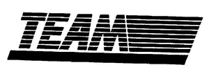 TEAM trademark