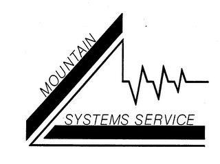 MOUNTAIN SYSTEMS SERVICE trademark