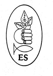 ES