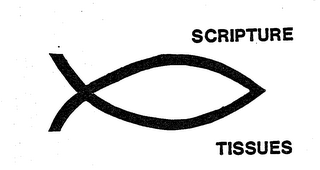 SCRIPTURE TISSUES