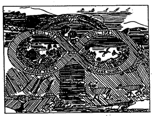 ROYAL LIFE BEE FOREVER YOUNG