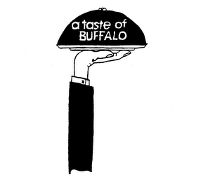 A TASTE OF BUFFALO