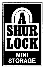 A SHUR LOCK MINI STORAGE