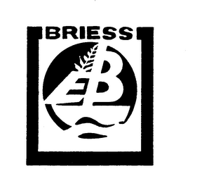 EB BRIESS trademark