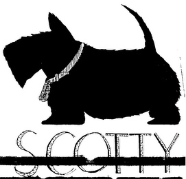 SCOTTY