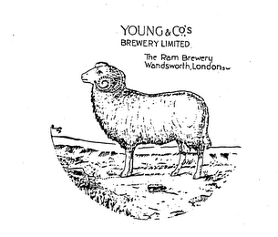 YOUNG & CO.'S BREWERY LIMITED THE RAM BREWERY WANDSWORTH, LONDON SW