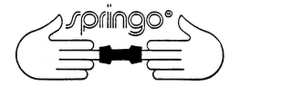 SPRINGO trademark