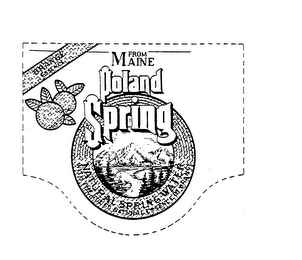 ORANGE ESSENCE FROM MAINE POLAND SPRING NATURAL SPRING WATER WITH THE ADDED NATURAL ESSENCE OF ORANGE