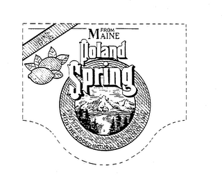 LIME ESSENCE FROM MAINE POLAND SPRING NATURAL SPRING WATER WITH THE ADDED NATURAL ESSENCE OF LIME