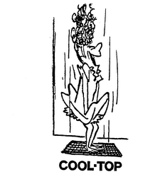 COOL-TOP trademark