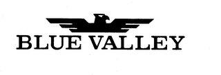 BLUE VALLEY trademark