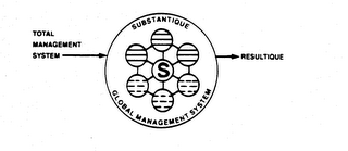 S TOTAL MANAGEMENT SYSTEM SUBSTANTIQUE GLOBAL MANAGEMENT SYSTEM RESULTIQUE