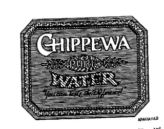 CHIPPEWA PURE WATER "YOU CAN TASTE THE DIFFERENCE ]"