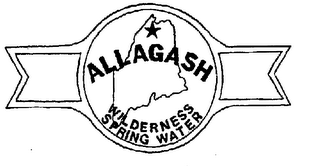 ALLAGASH WILDERNESS SPRING WATER