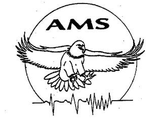 AMS