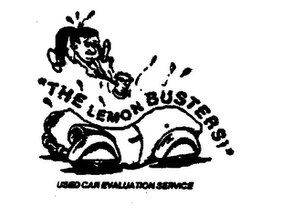 "THE LEMON BUSTERS !" USED CAR EVALUATION SERVICE