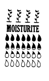 MOISTURITE