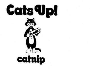 CATS UP! FRESH CATNIP