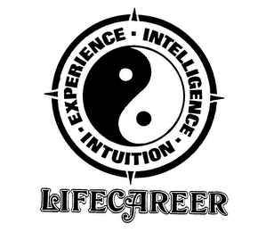 EXPERIENCE INTELLIGENCE INTUITION LIFECAREER