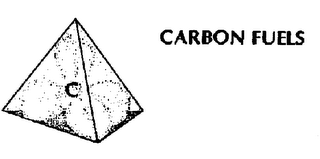 CARBON FUELS C