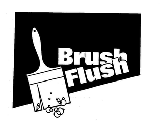 BRUSH FLUSH